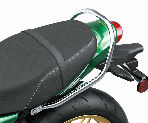 Passenger Grab Bar